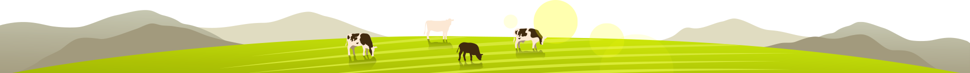 Azienda Agricola Mottini